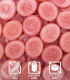 himbeere erythrit bonbon, zuckerfreie bonbons, sugar free candy